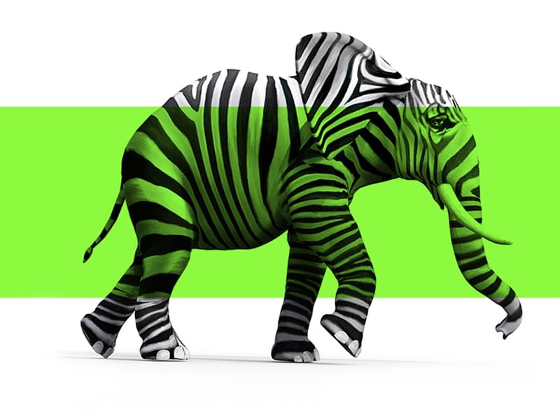 Son Sürat Ürünlerimiz